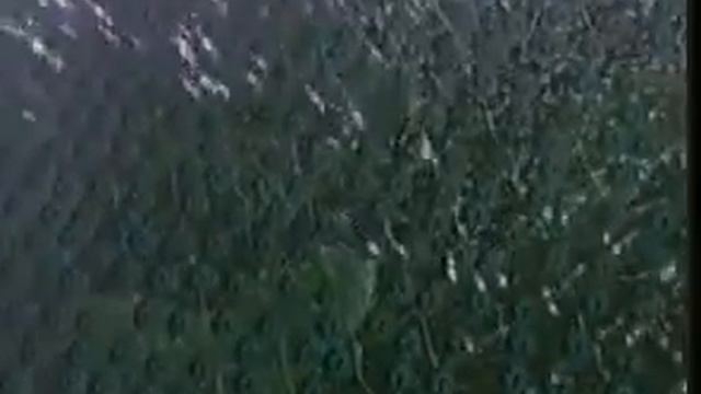 Мозг смотреть онлайн