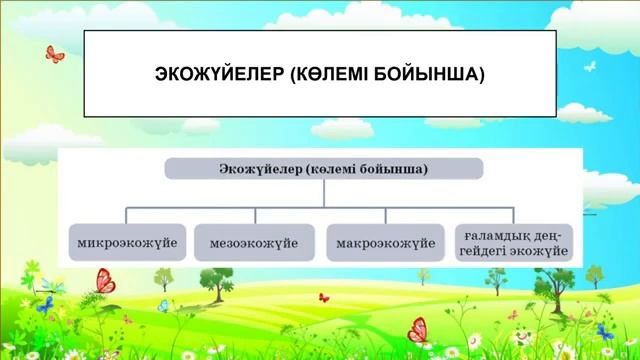 5 сынып. Жаратылыстану. Экожүйелер түрлері. 3 сабақ смотреть онлайн