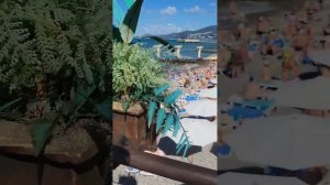 Пляж Коралл Адлер