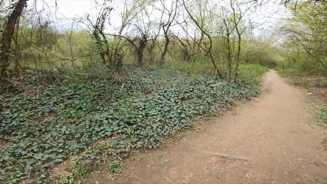 ЗАГУБИЛИСЬ В ЛІСІ на BMX