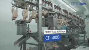 Линия разделки птицы СП-4000