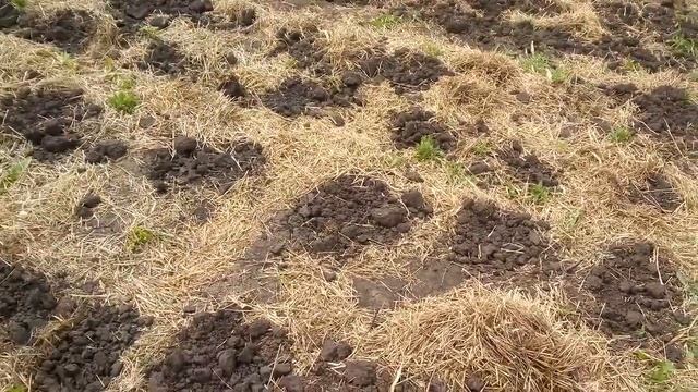 Обо всём...смесь... смотреть онлайн