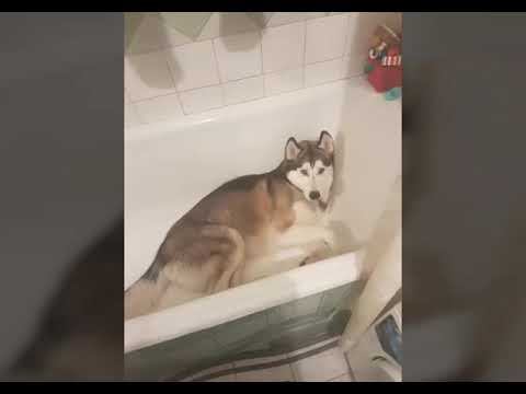 Сила высоты и любви. смотреть онлайн