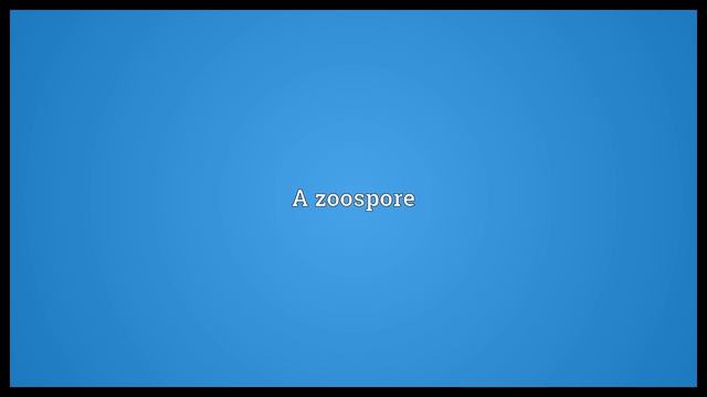 Swarm spore Meaning смотреть онлайн