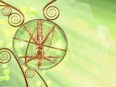 Футаж біологія. смотреть онлайн