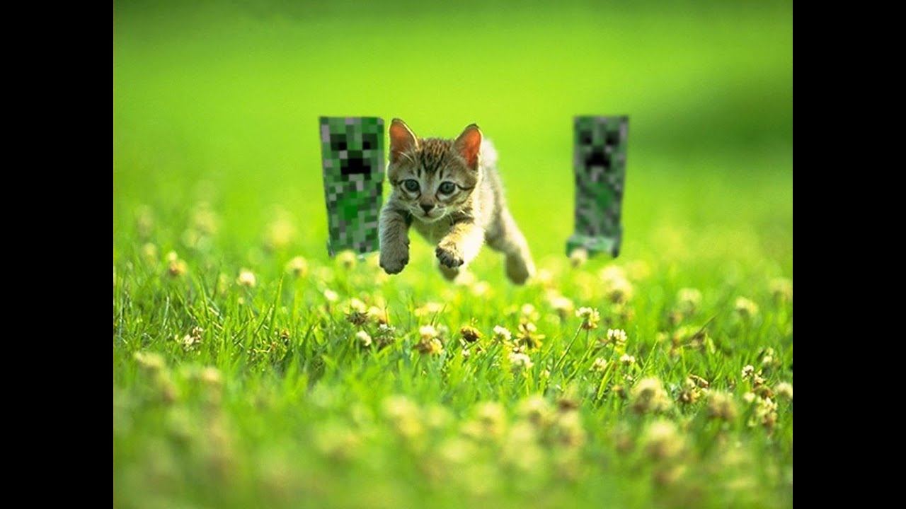 Играем в кастомку dota 2 со зрилами (2) : ) смотреть онлайн