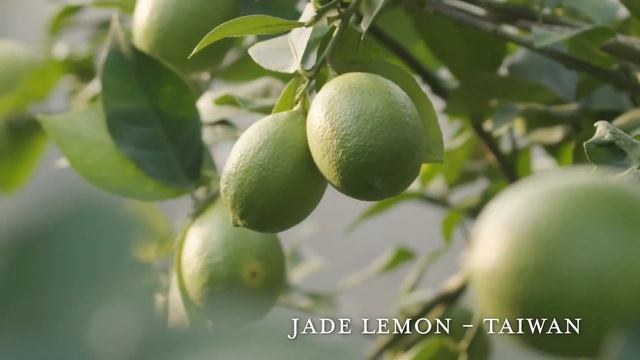 Фермы Young Living в Азии | Янг Ливинг Россия смотреть онлайн