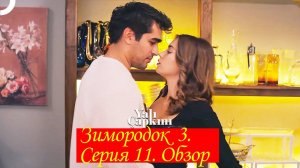Зимородок 3. Серия 11. Обзор - пересказ