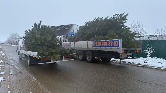 Скоро Новый Год!