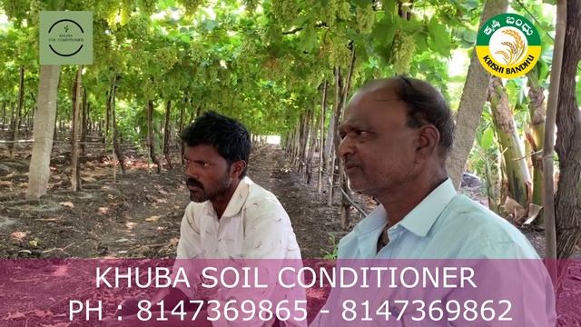 ಕಬ್ಬು ಎಕರೆ 75 ಟನ್ ವೆಚ್ಚ Rs 16,000 USE Khuba Soil Conditioner @ PH 8147369865 8147369862 смотреть онлайн