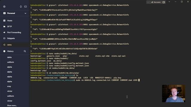 Spacemesh - Docker Pub/Pvt Nodes смотреть онлайн