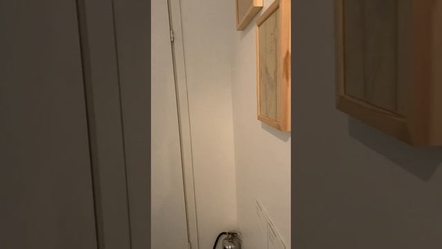 Melancholia. Выставка памяти А. В. Ипполитова. Санкт-Петербург. K-Gallery. смотреть онлайн