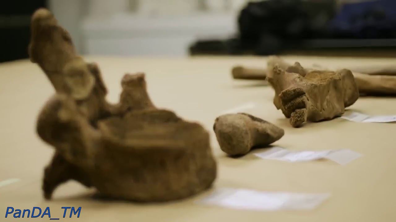 Невероятные подводные открытия, которые наука не может объяснить😎👍🔔 смотреть онлайн