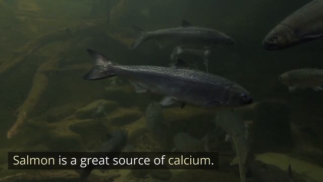 Calcium-Rich Alternatives: Foods That Surpass Cow's Milk | ThatMochiStuff.com смотреть онлайн