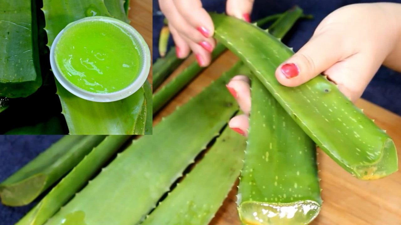 How To Make Aloe Vera Gel At Home By Simple Beauty Secretsपतंजलि एलोवेरा जेल बनाने की विधि смотреть онлайн