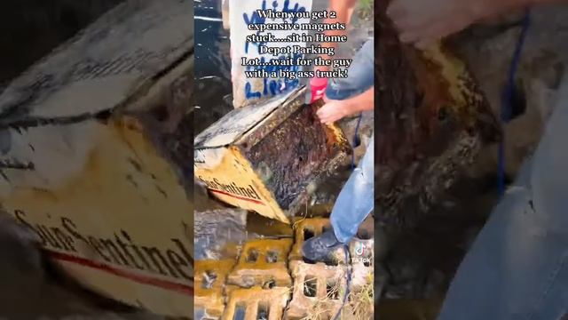 WHOA! WHAT A FIND Magnet Fishing Delray Beach using Brute Magnetics , Cleaning up our Waterways смотреть онлайн