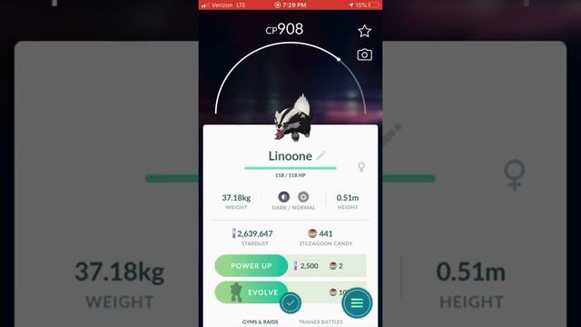 Galarian Zigzagoon evolution in Pokémon Go! смотреть онлайн