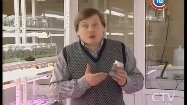 «Клон дуб» – уникальный эксперимент белорусских учёных смотреть онлайн