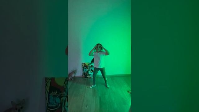 Найди чихуахуа на видео))) кто нашел?) #viral #dance #song #youtube #недетскоевремя #нг2024 #танцы смотреть онлайн