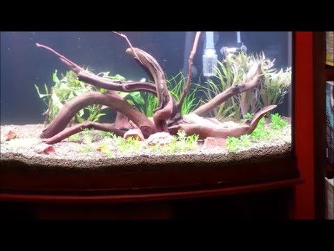 Second Planting in the Dirt Tank (High Tech) смотреть онлайн