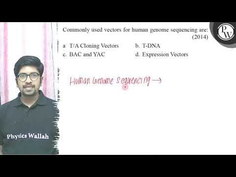 Commonly used vectors for human genome sequencing are:
P
(2014)
W
a... смотреть онлайн