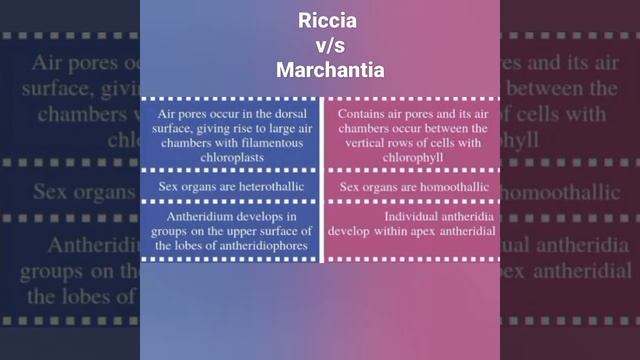 | Sem - 4 - Important comparison to remember | Riccia v/s Marchantia | смотреть онлайн