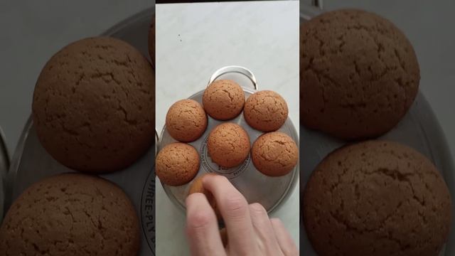 ОБУЧЕНИЕ НА ПЛЮШКАХ: делимость электрического заряда смотреть онлайн