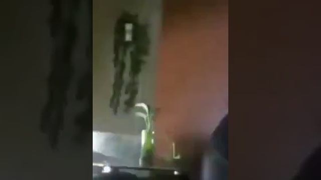 Корпорация Юмора - Эти котаны самые максимальные проказники смотреть онлайн
