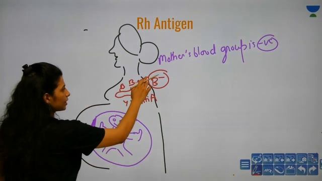 Phoenix 2.0: Biology Most Important Video For NEET 2025 | Udaan