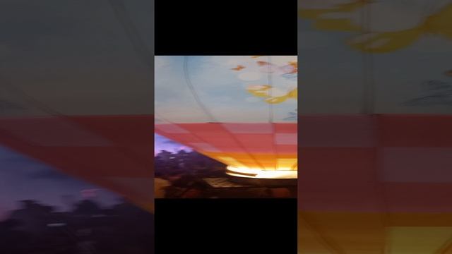 26-11-2024