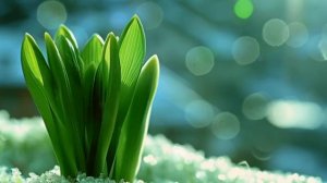 75-летний дед на похоронах внучки наклонился к гробу поправить платье. А едва коснувшись, онемел...