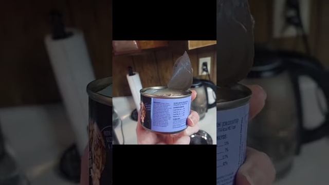 Gigi - 7 Week Pregnancy Weight and Food смотреть онлайн