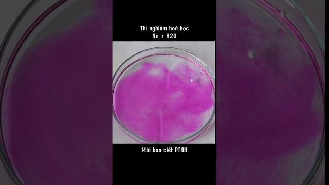 Thí nghiệm hoá học: Na + H2O смотреть онлайн