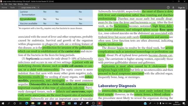 Salmonella | Systemic Bacteriology | Microbiology смотреть онлайн
