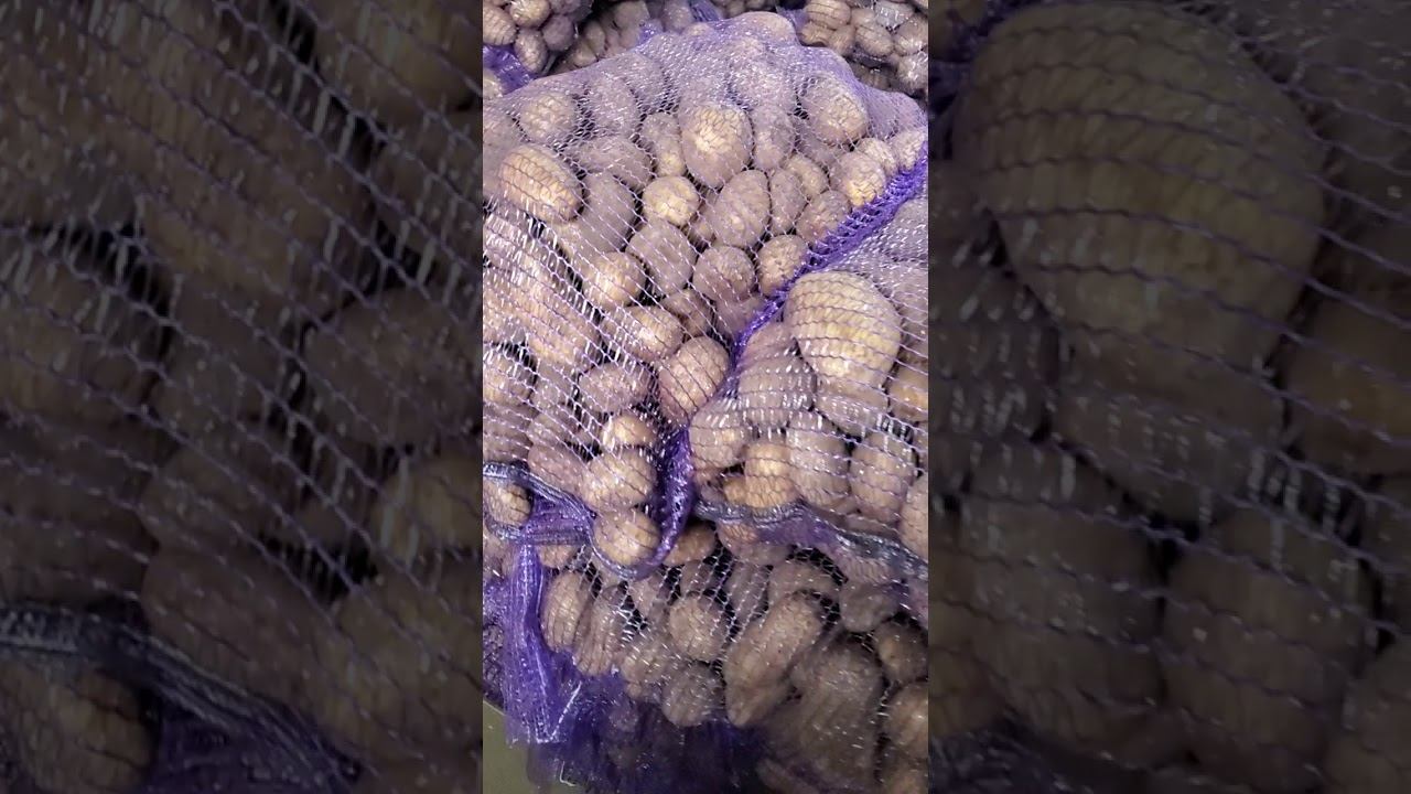 Картофель бриз брянск смотреть онлайн