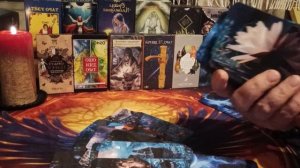 Какая крыса никак не успокоится 🕵️❓⚖️🪤🐀