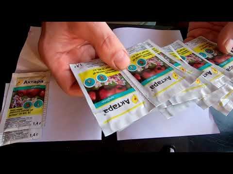 Осторожно! Актара! (Обережно! Актора!) смотреть онлайн