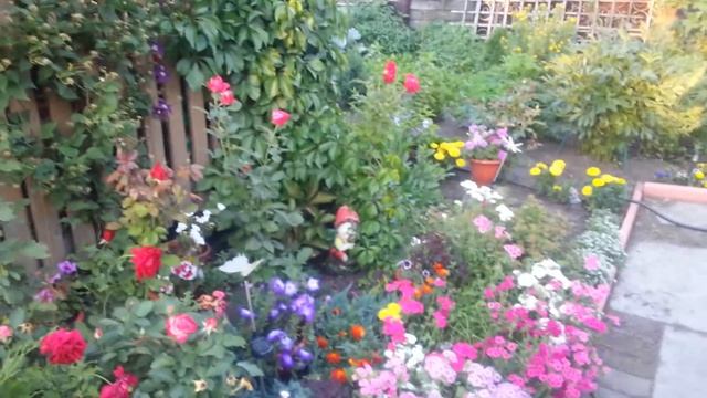 У друзей смотреть онлайн