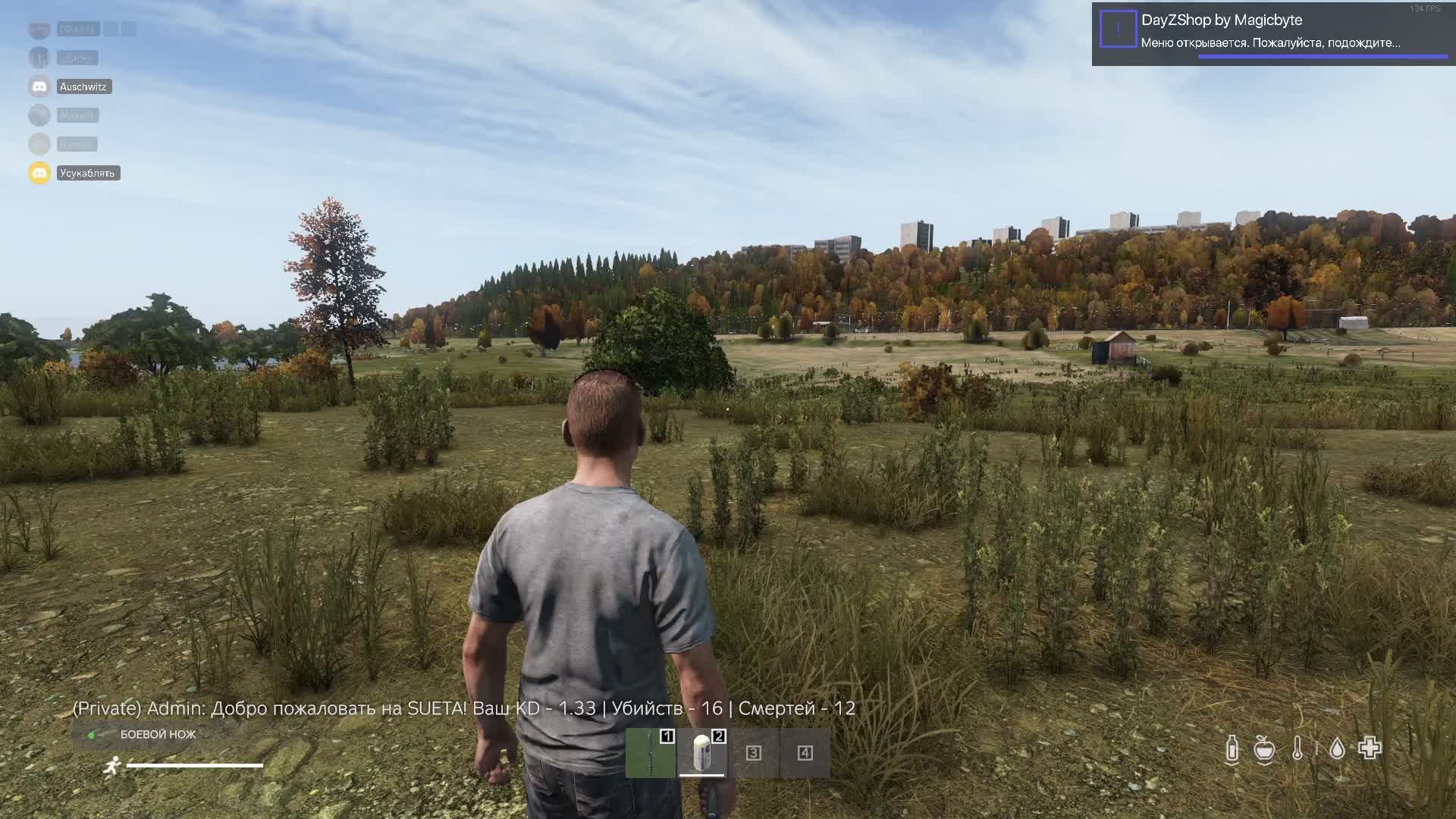 DayZ играем на 