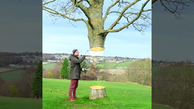 Easy 3D Floating Tree Illusion смотреть онлайн