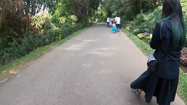 6 Aug 2018 Botanic garden, Tooth temple смотреть онлайн
