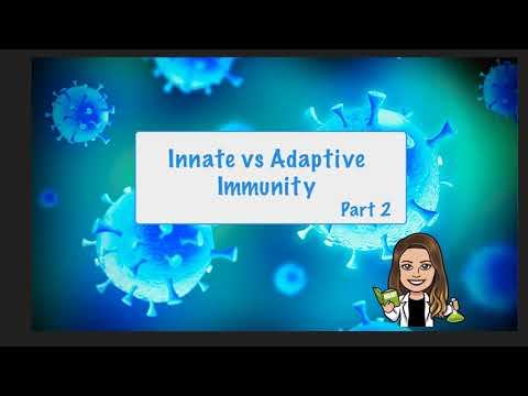 Innate vs. Adaptive Immunity, Part 2 смотреть онлайн
