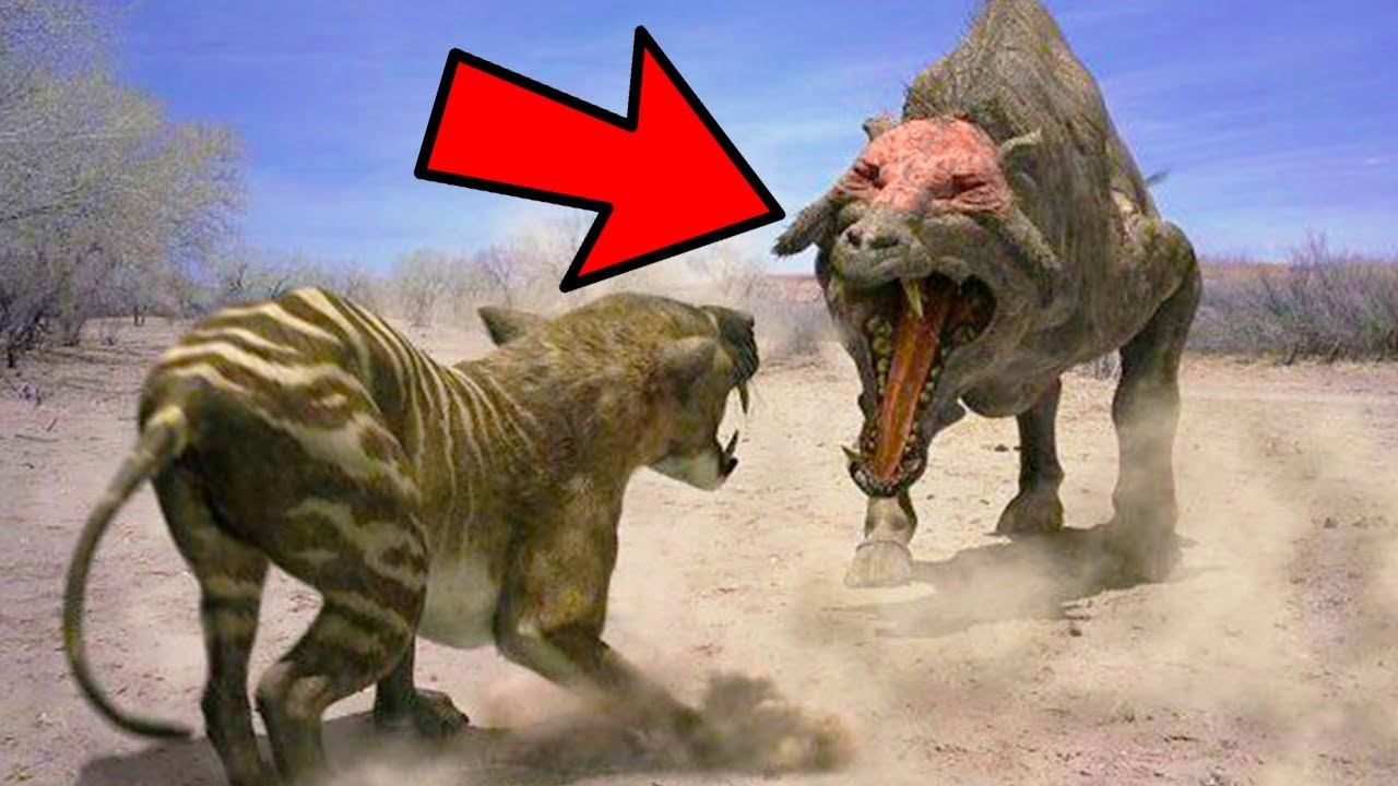 5 ANIMALI DELL'ERA GLACIALE PIÙ PERICOLOSI E LETALI CHE ABBIANO POPOLATO QUESTO MONDO смотреть онлайн