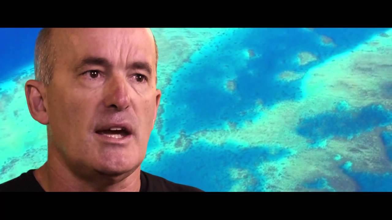 edX | UQx: Tropical Coastal Ecosystems: TROPIC101x About Video смотреть онлайн