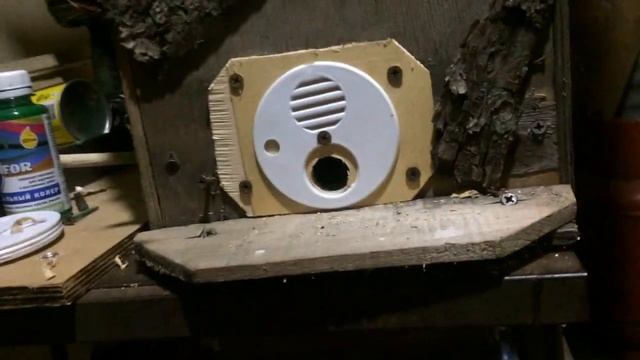 ЛОВУШКИ ДЛЯ ПЧЁЛ ГОТОВИМСЯ К СЕЗОНУ смотреть онлайн
