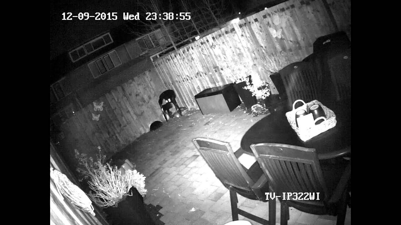 TRENDnet TV IP322WI IP-camera смотреть онлайн