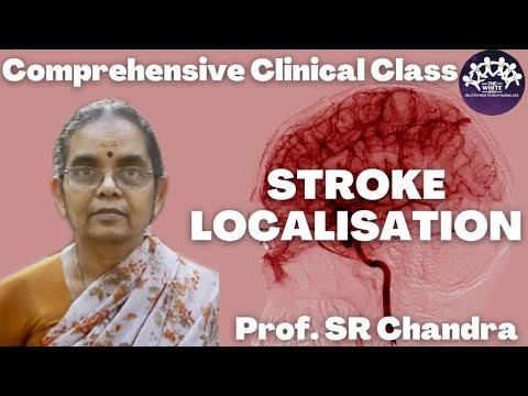 Stroke Localisation смотреть онлайн