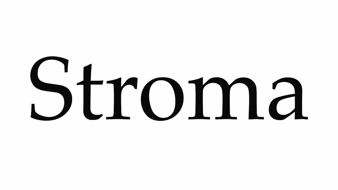 How to Pronounce Stroma смотреть онлайн