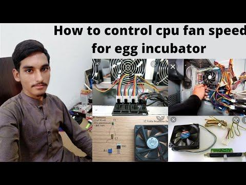 How tp control cpu fan speed смотреть онлайн