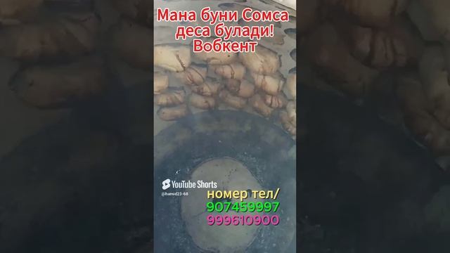 Мана буни Сомса деса булади! Вобкент  #2024 #like #подписаться #видео